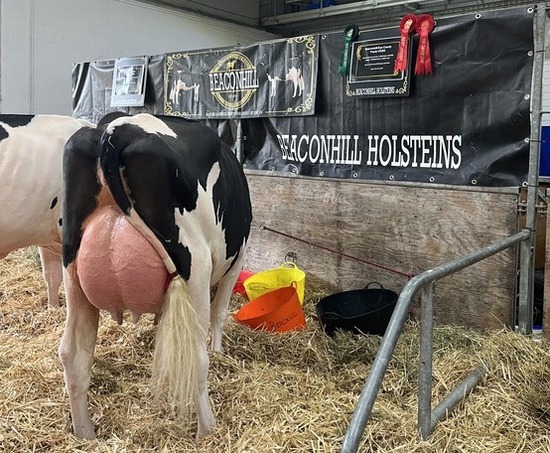 cow nutritionists uk