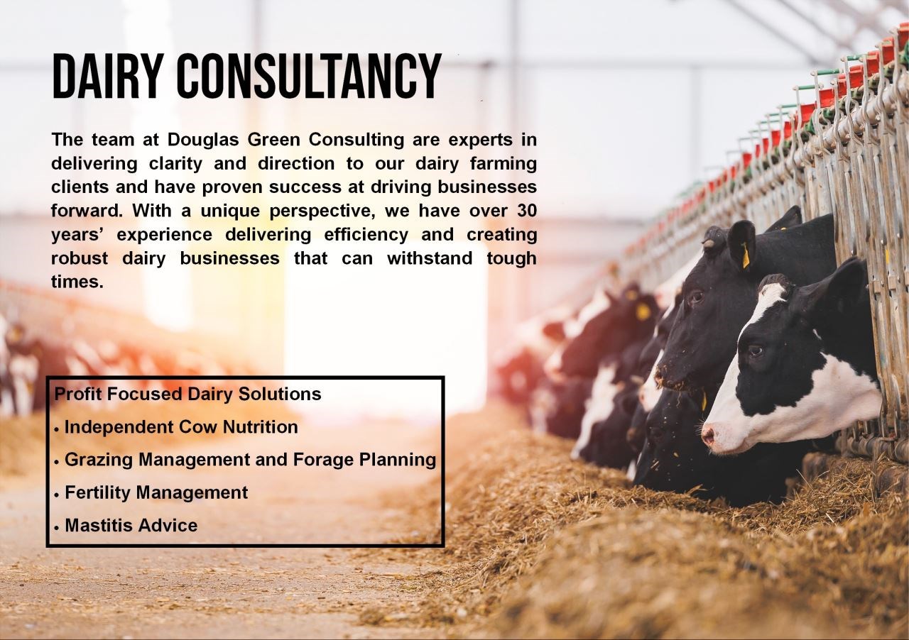 From Data to Decisions: Making Dairy Technology Work on Farm