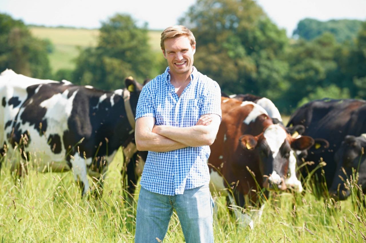 How to increase business success in dairy farming