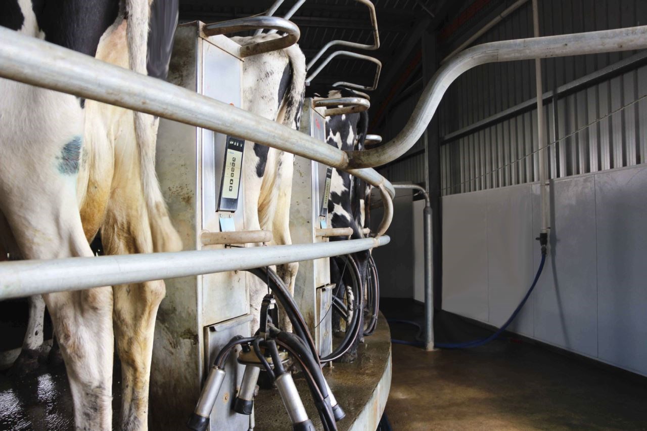 Milk Pricing 