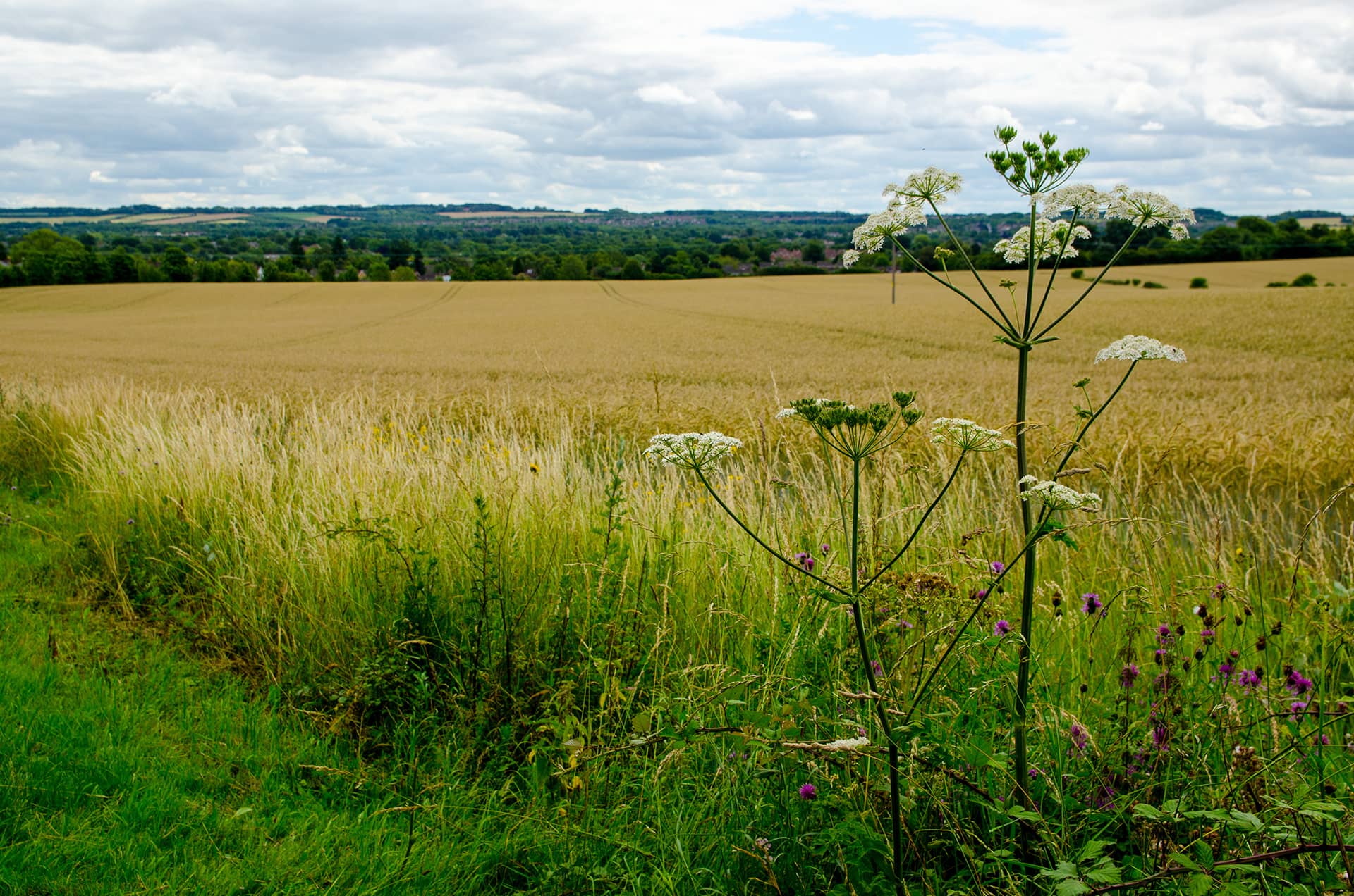 farm management grants